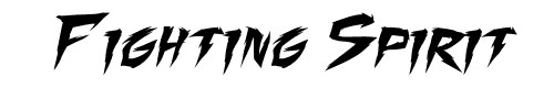 fighting-spirit fighting-spirit