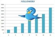 11 Sureshot Tips And Tricks To Increase Your Twitter Followers