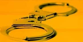 How To Do Free Background Check Online