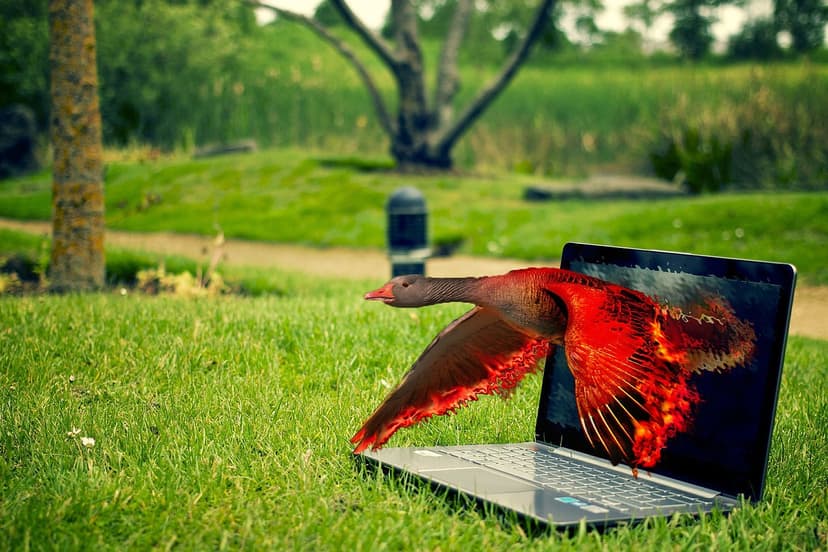 Discover The Best Free Photo Editors For Stunning Visuals
