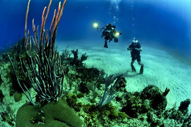 Underwater Digital Photography