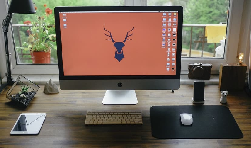 7 Questions to Ask When Switching from Windows to Mac
