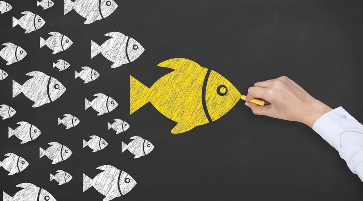 How to Build Your Career As a Social Media Influencer in 2017?