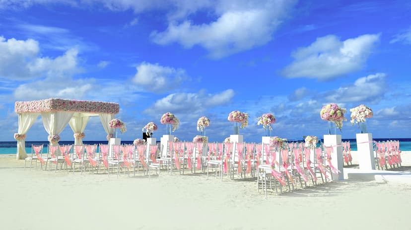 What Tools Do You Need to Start a Wedding Photography Business?