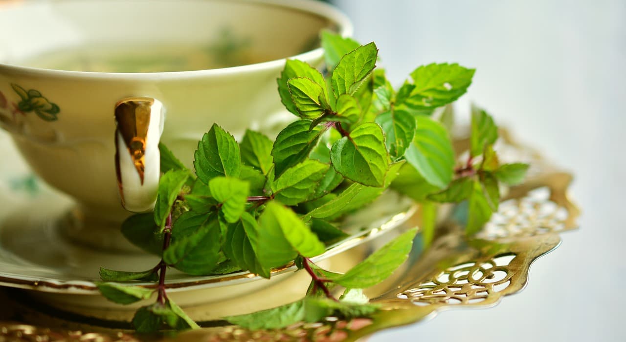 How to Make Green Tea in Three Exquisite Styles?