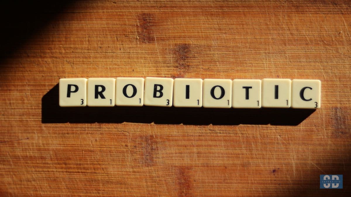 Prebiotic &amp; Probiotic supplements | What are the differences