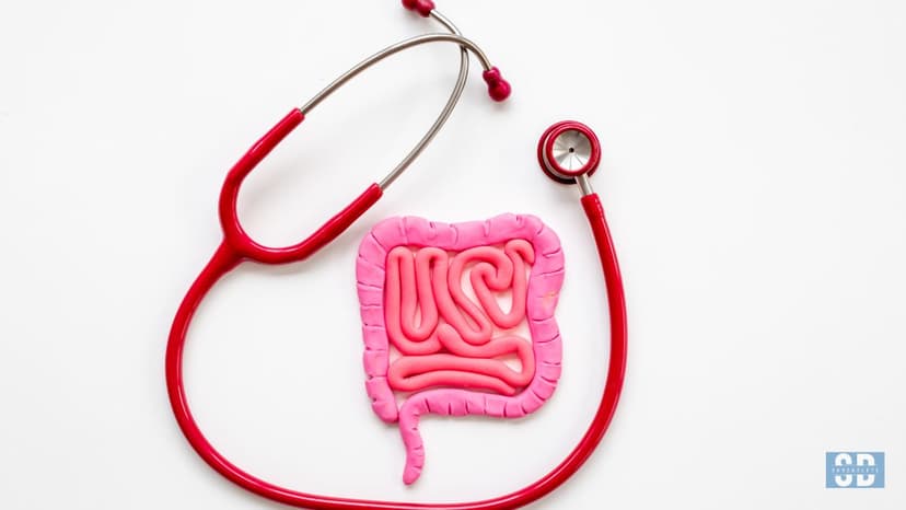 Gastrointestinal Problems: How to overcome