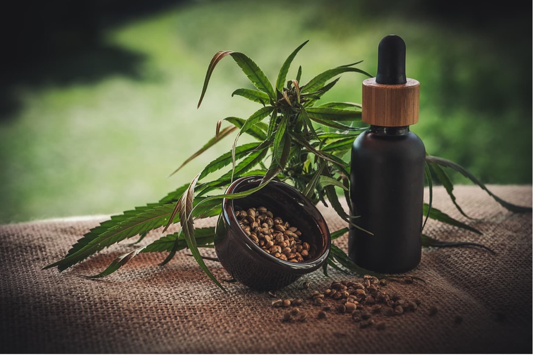 The Beginner's Guide to CBD
