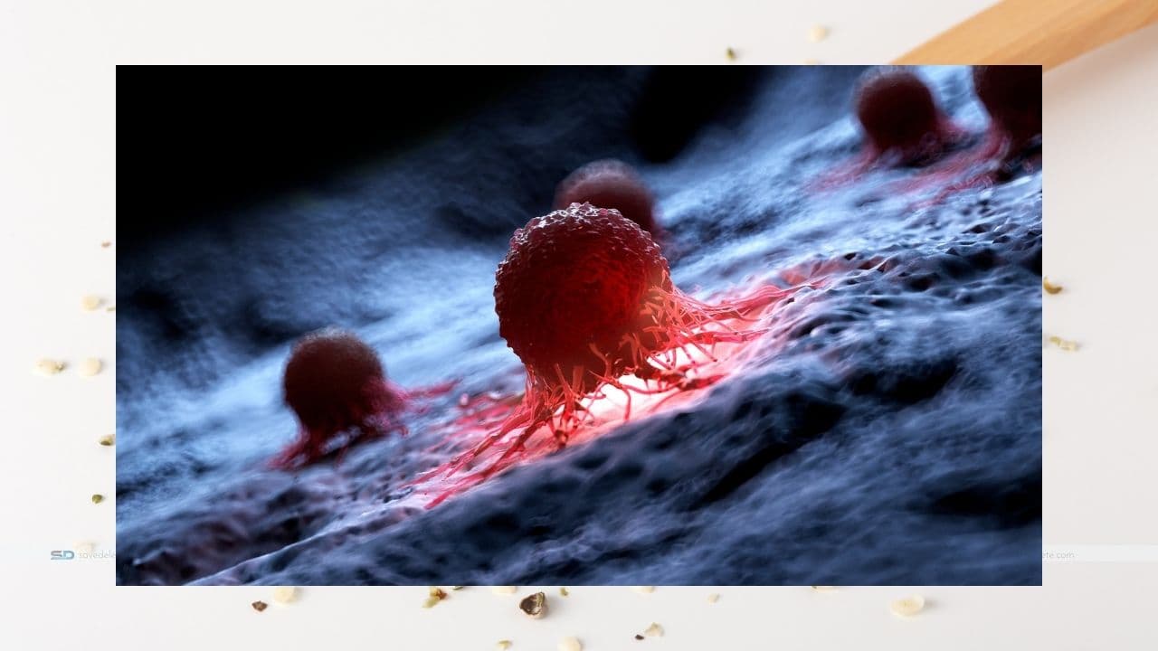 What Are The Treatment Options for 9/11 Breast Cancer Survivors?