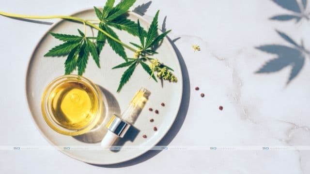 CBD Coffee - Everything You Need To Know!