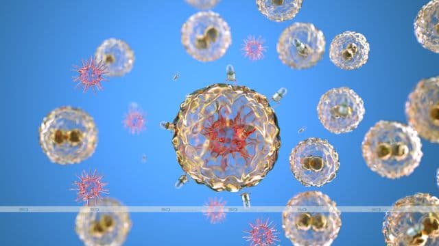 Nanoparticles: Properties and applications in medicine and cosmetics