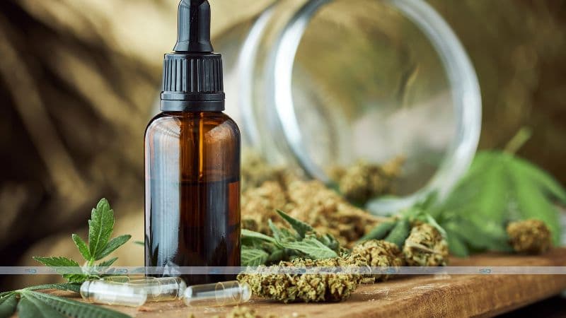 How to Choose the Best CBD Flowers: A Beginner's Guide
