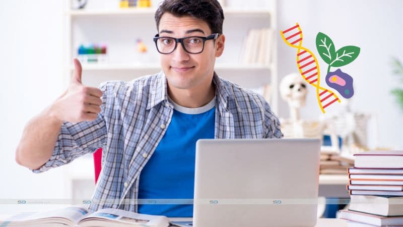 Can AI Help You Pass Your Biology Exams? A Deep Dive into Digital Study Aids