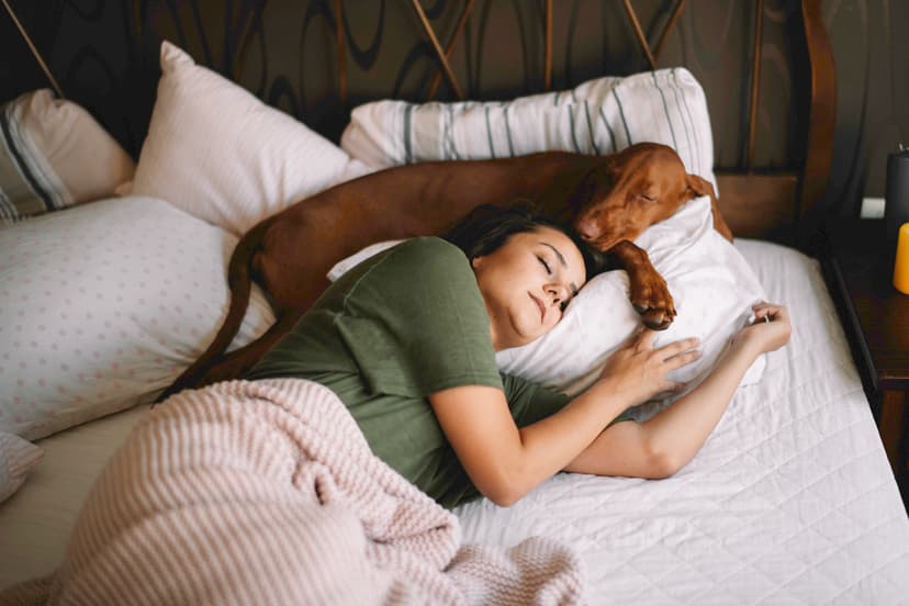 PuroAir Review: Why Pet Owners Are Choosing This Air Purifier Over the Rest