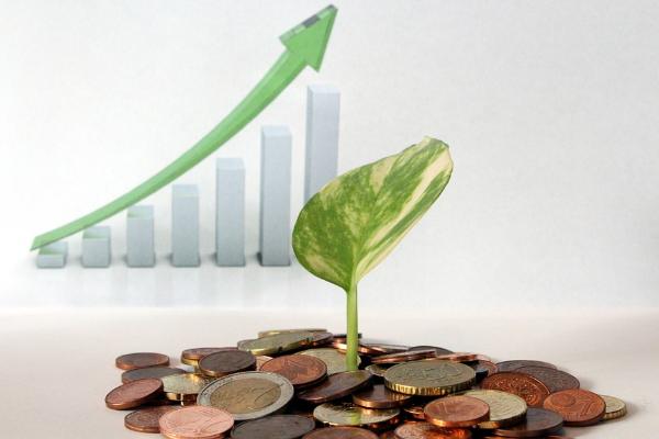 How To Hire The Best Web Developers For Startups?