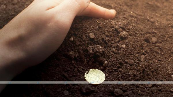 Everything you need to know about seed money