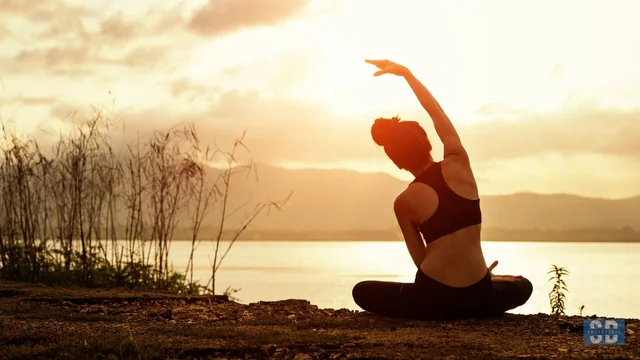 Best Yoga Apps for Beginners and Experts: Transform Your Practice