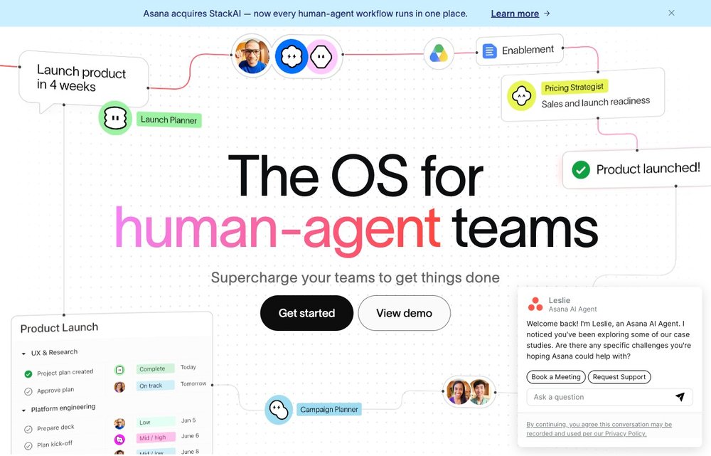 Asana project management