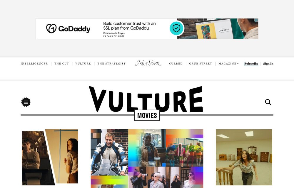 Vulture homepage