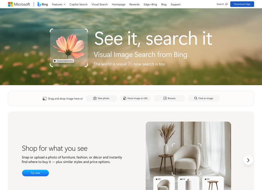 Bing Visual Search reverse image search screenshot
