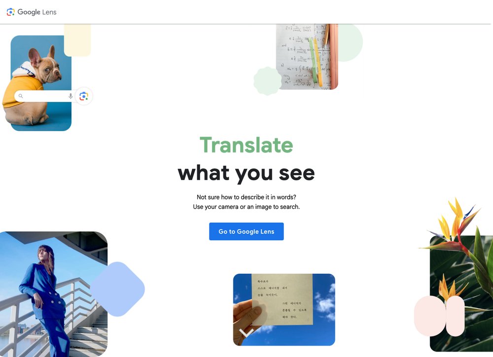 Google Lens reverse image search screenshot