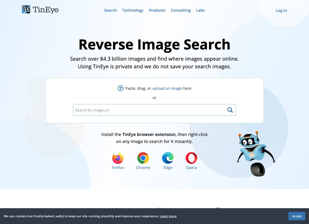 TinEye reverse image search screenshot
