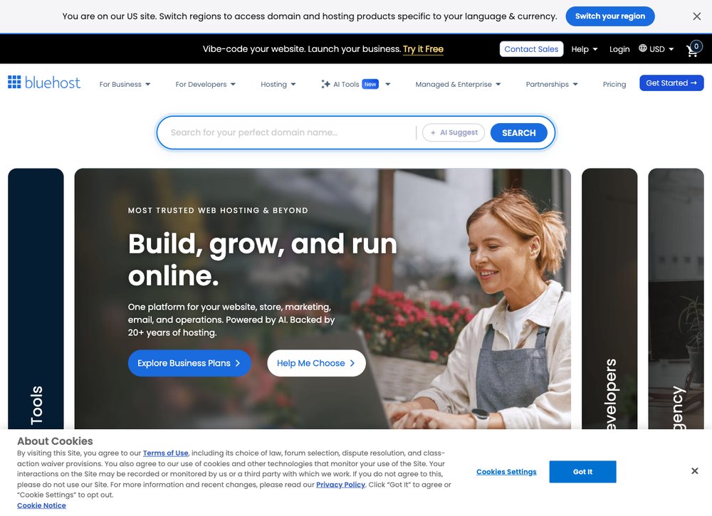 Bluehost web hosting screenshot