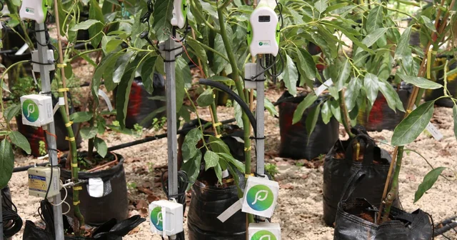 Top 11 Agricultural Apps You’d Like to Use for Farming Business