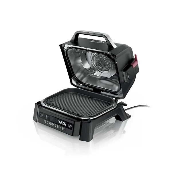 Ninja Woodfire (4-in-1)
