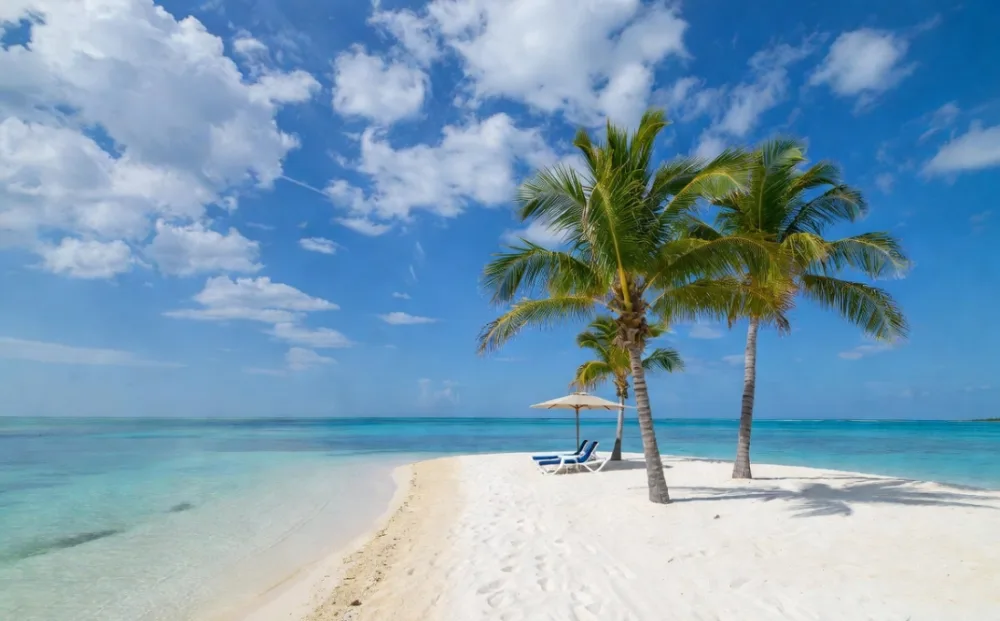 A pristine white-sand Caribbean beach with turquoise water and palm trees