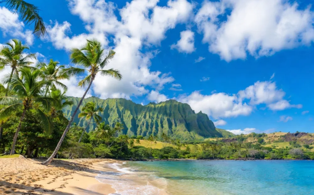A palm-lined Hawaiian beach with green volcanic cliffs — a top US tropical destination