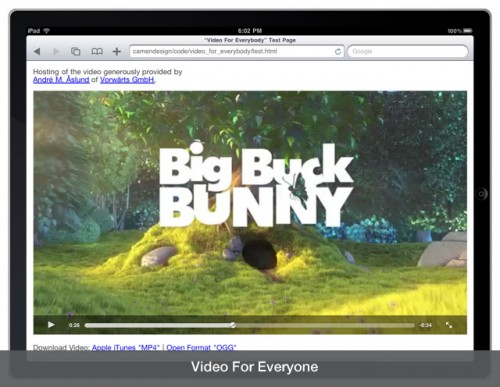 Video For Everybody