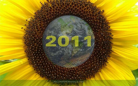 New Year 2011 Wallpapers