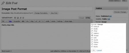 wordpress features