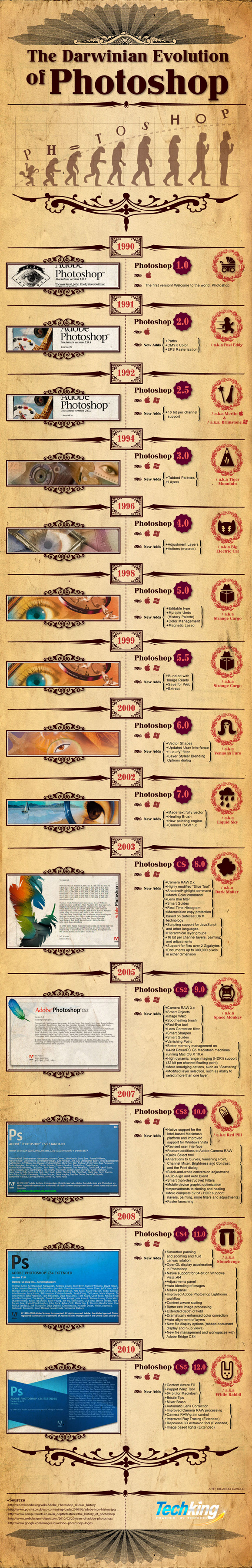 Beautifully Designed Infographics
