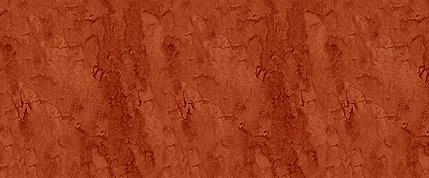 Patterns 1
