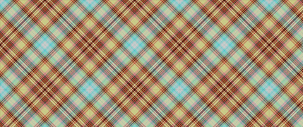 Softly Plaidly- Peachy Keen