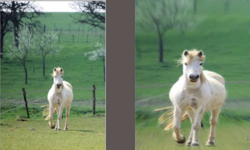 Radial Blur Using Photoshop 