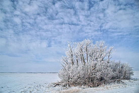 Beautiful Photographs of Winter (135)