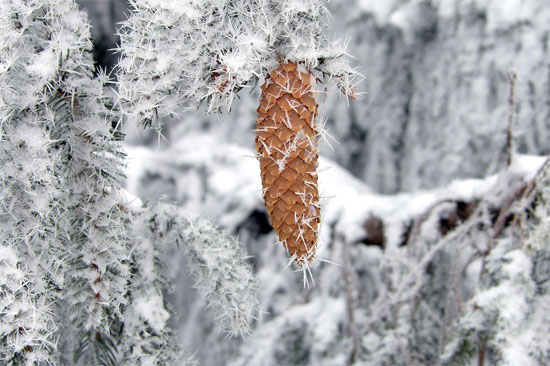 Beautiful Photographs of Winter (139)