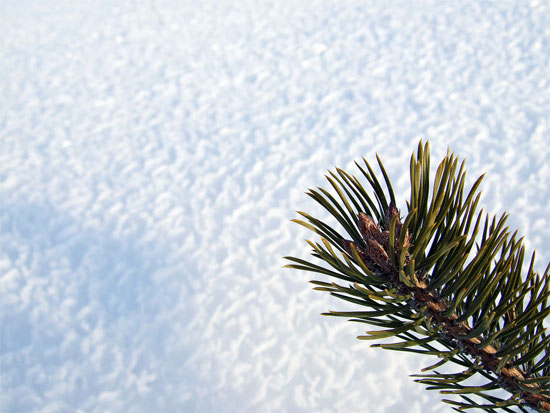 Beautiful Photographs of Winter (134)
