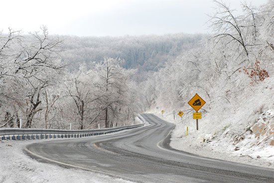Beautiful Photographs of Winter (130)