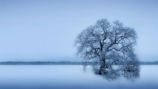Beautiful Photographs of Winter (141)