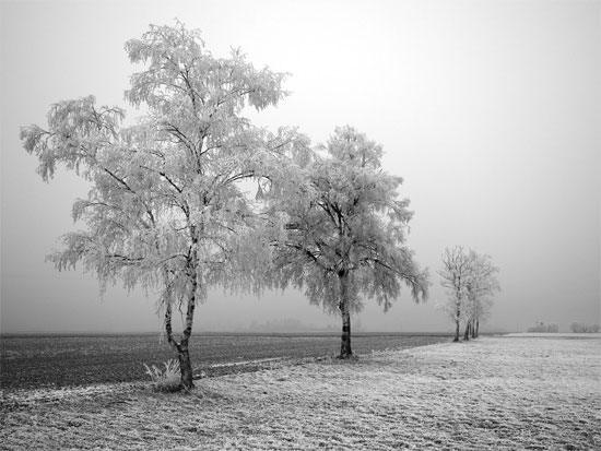 Beautiful Photographs of Winter (143)