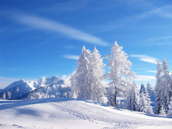 Beautiful Photographs of Winter (126)