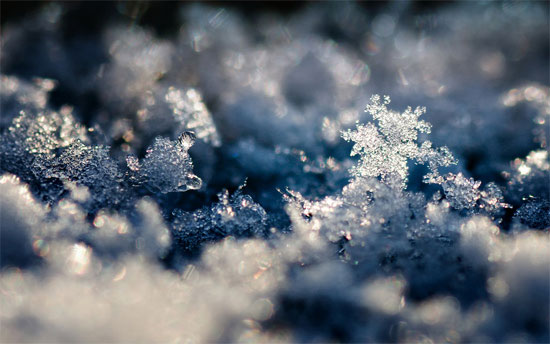 Beautiful Photographs of Winter (125)