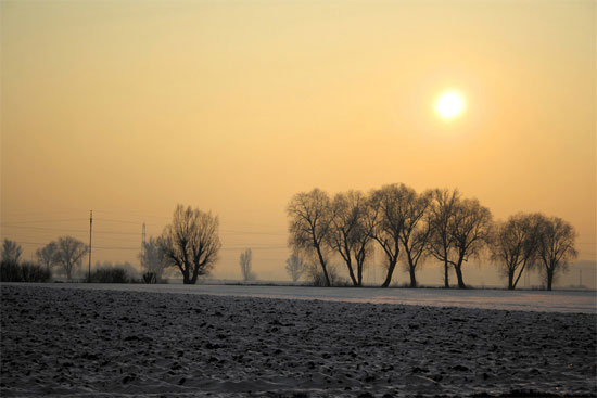 Beautiful Photographs of Winter (122)