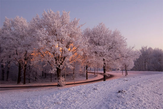 Beautiful Photographs of Winter (144)