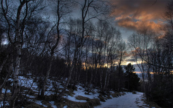 Beautiful Photographs of Winter (121)