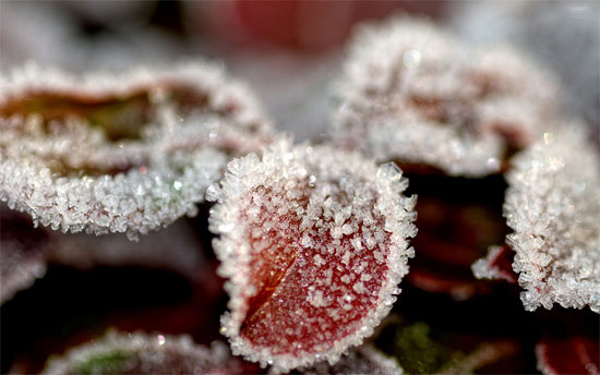 Beautiful Photographs of Winter (117)